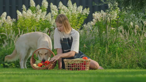 girl and dog enjoying garden harvest