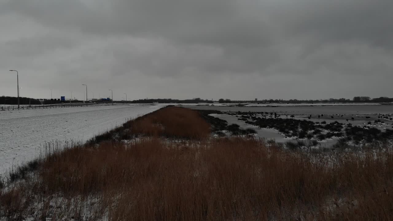 Brown reeds And Grass On The Snowy Field. aerial