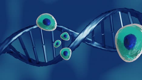 animación de células del cuerpo humano y cadena de adn sobre fondo azul