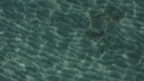 close up of crystal clear blue ocean water