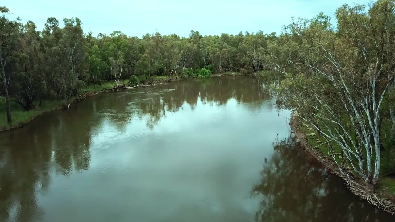 Rising drone footage of the meandering Murray River and eucalypt forest north of Corowa, Australia. November 2021.