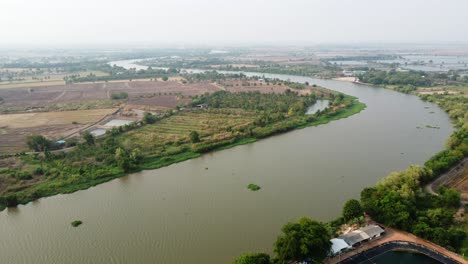 The-flying-environment-plants-the-greenery-forest-and-riverside