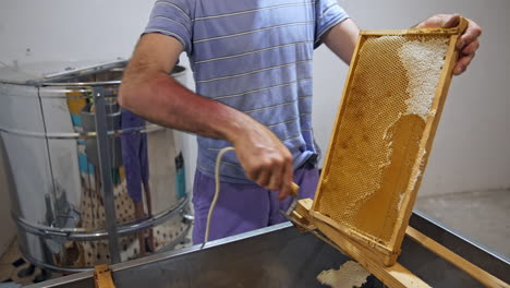 beekeeper works with honeycomb full of fresh golden honey. bee master removes excess beeswax with the scraper by hand, preparing for pumping honey.