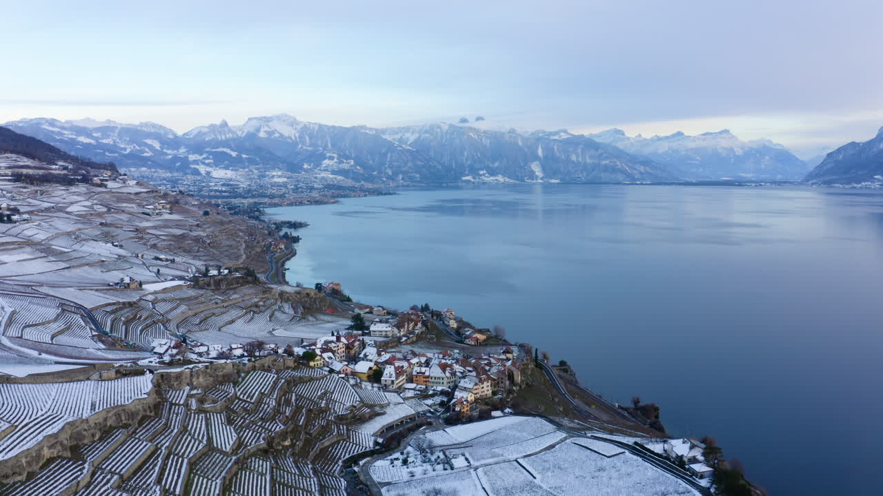스위스 보(vaud) 주에 있는 잔잔한 레만 호수(lake leman)를 배경으로 스위스 알프스를 배경으로 라보 포도원 테라스에 있는 리바즈(rivaz) 마을 위를 날고 있습니다.