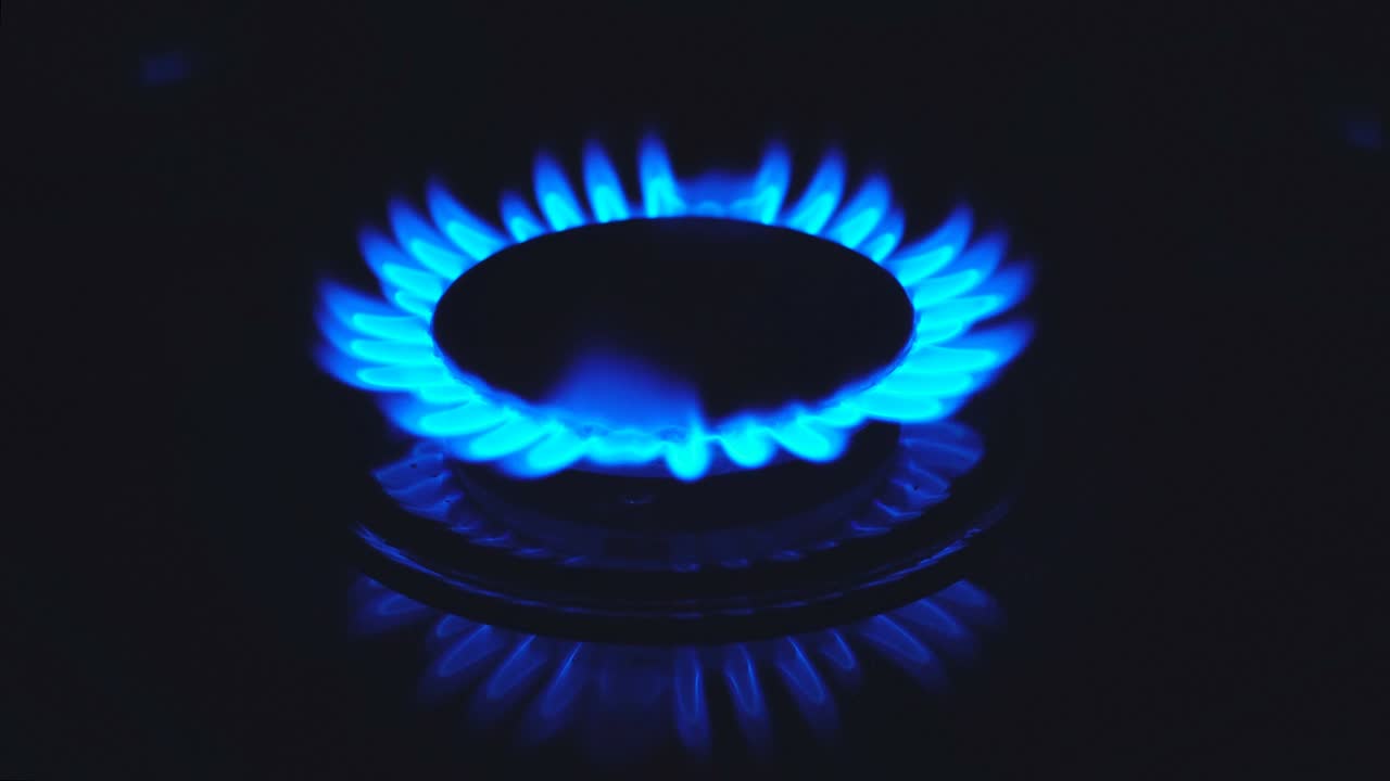 스토브  버너가 파란색 요리 불꽃으로 불타고 있습니다.