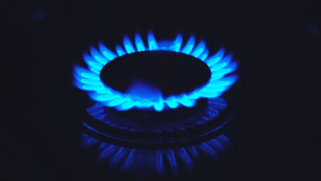 stove top burner igniting into a blue cooking flame