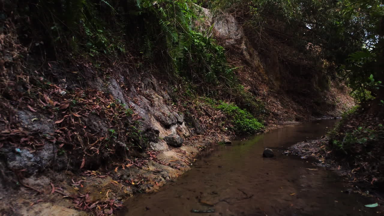 corriente en la garganta en la selva tropical en vietnam, vista aérea