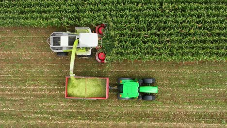 seguimiento aéreo de drones slomo del ensilado de maíz que se descarga en el remolque del tractor