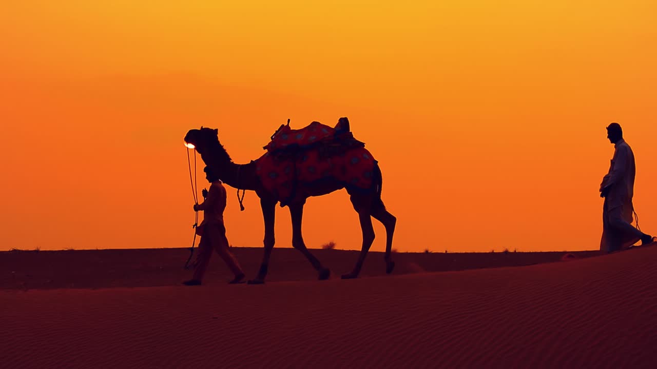 해가 지는 데 낙타 운전자. 해가 지는 데 낙타 운전자. 타르 사막 제이살메르, 라자스탄, 인도.