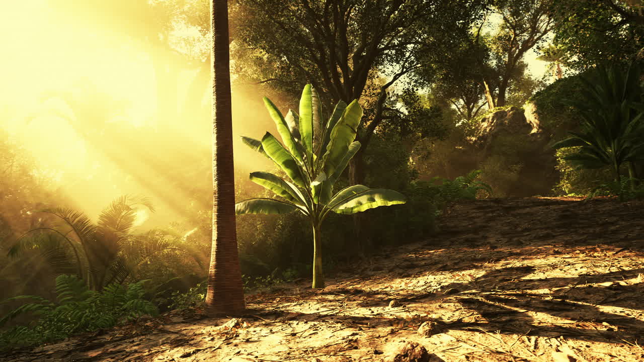 rayos dorados iluminan un denso bosque lleno de vegetación vibrante