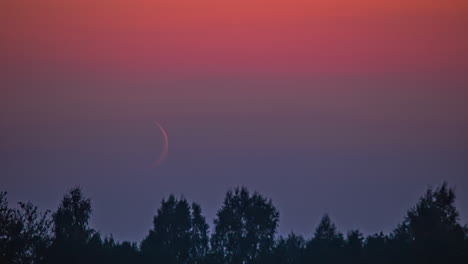 Cinematic beautiful shot of sunset of the moon captured in the mild orange evening turning night in the sky in a exciting view with the trees down on the ground shaking in the cool breeze