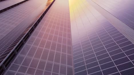 paneles solares fotovoltaicos en techos de invernaderos, vista aérea de drones, puesta de sol