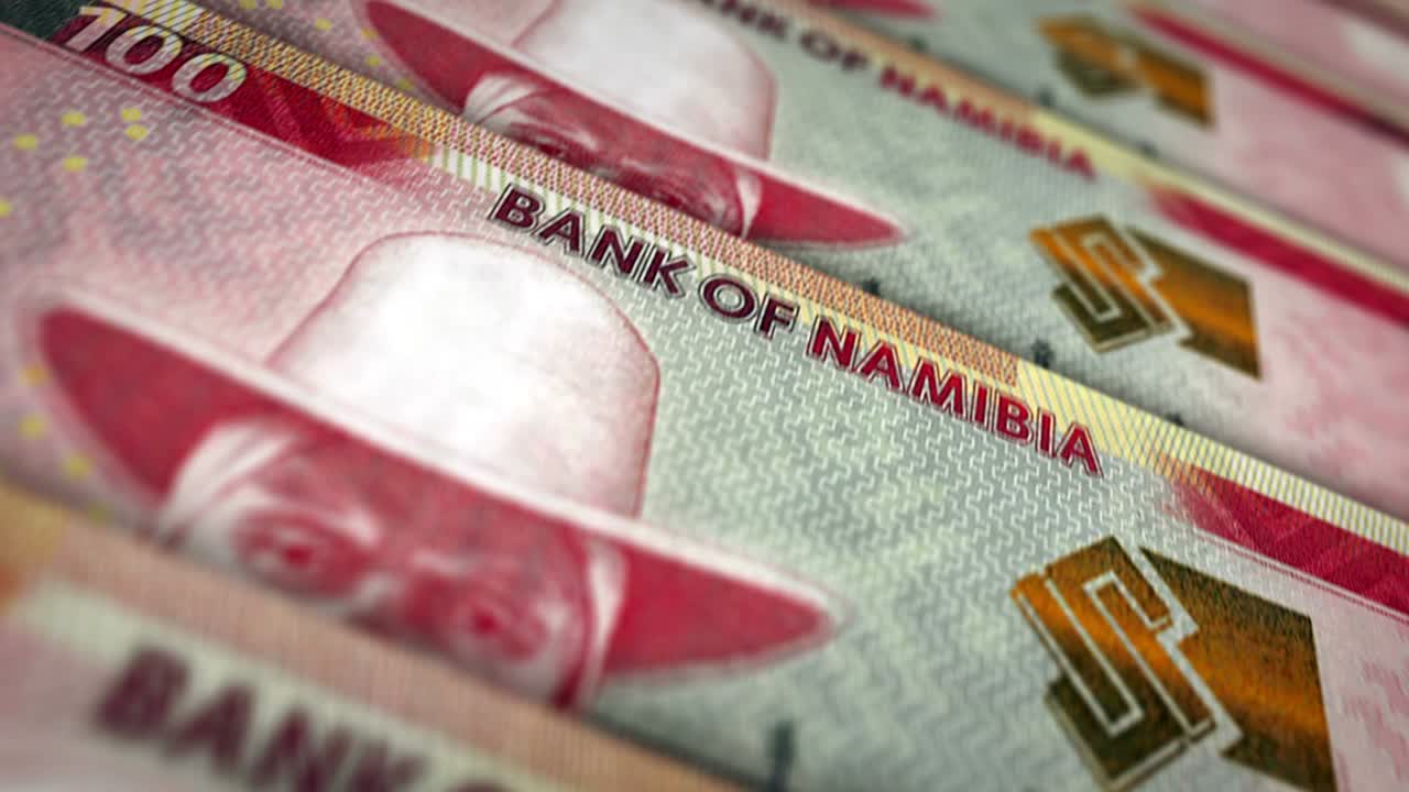 나미비아 달러 돈 지폐 표면 루프 애니메이션