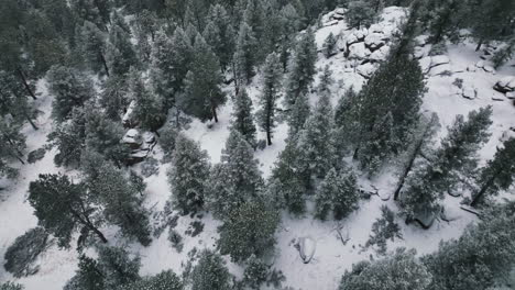 Panorámica-Hacia-Abajo-Mediados-De-Invierno-Lento-Cinemático-Frío-Invierno-Montaña-Bosque-Y-Rocas-árbol-De-Hoja-Perenne-Colorado