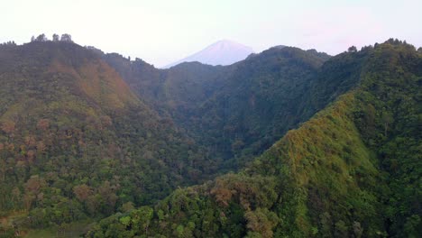 vista aérea de los interminables bosques que crecen en las colinas y valles por la mañana temprano