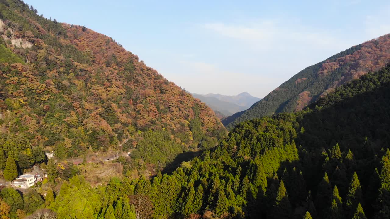 가을 단풍과 산이 있는 울창한 숲 지역 위로 천천히 공중 전진