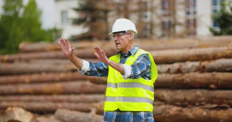 engineer working at wood industry 4