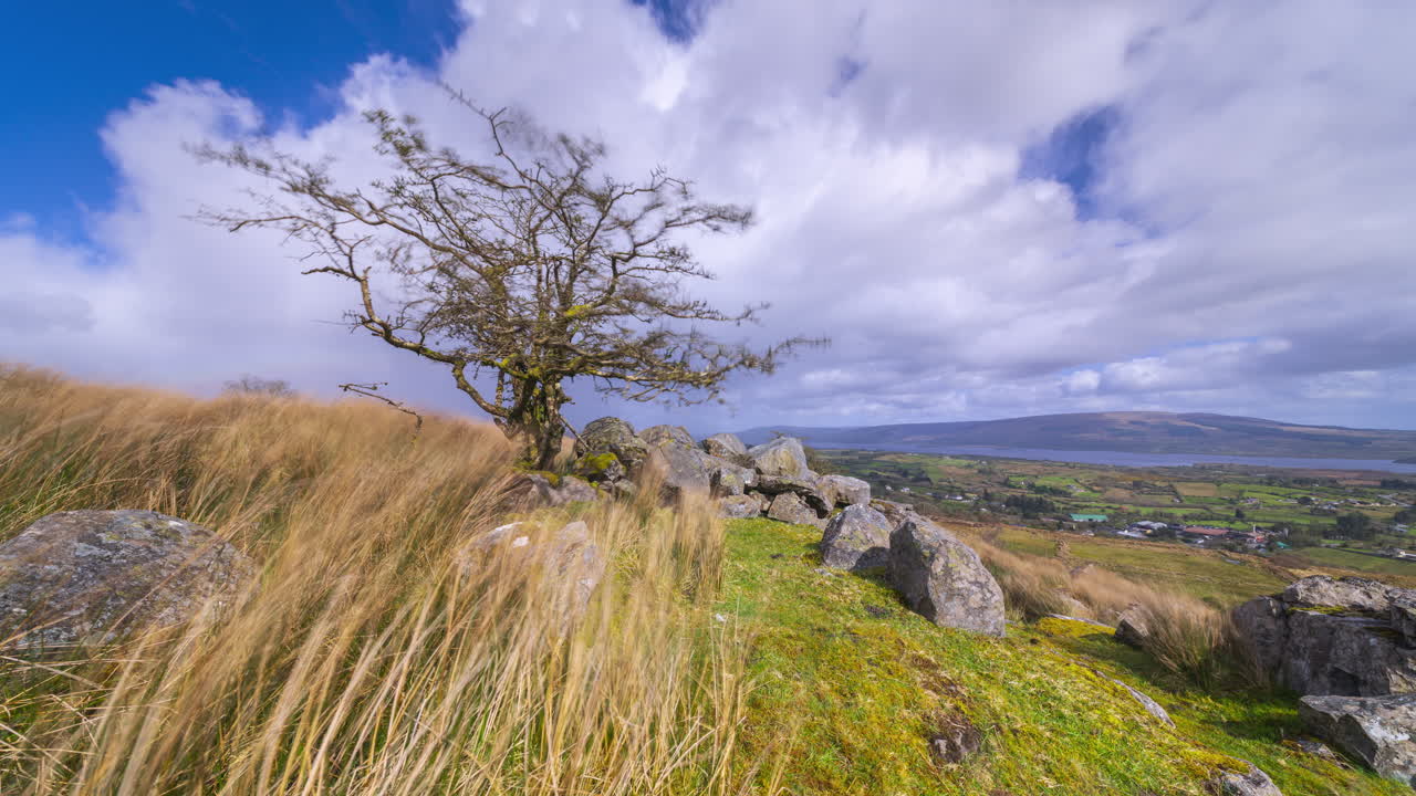 Time lapse of rural landscape with single leafless tree in the foreground on hillside and lake in the distance with passing storm during a spring day in Arigna mountains in county Leitrim in Ireland
