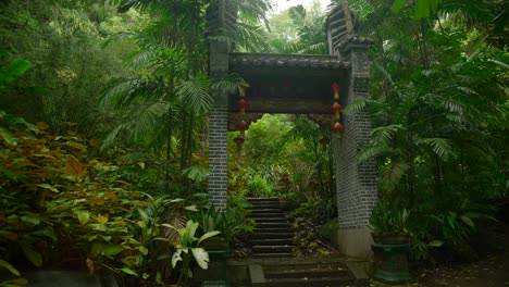 video de plantas increíbles de un jardín botánico en victoria en la isla de mahe en las seychelles