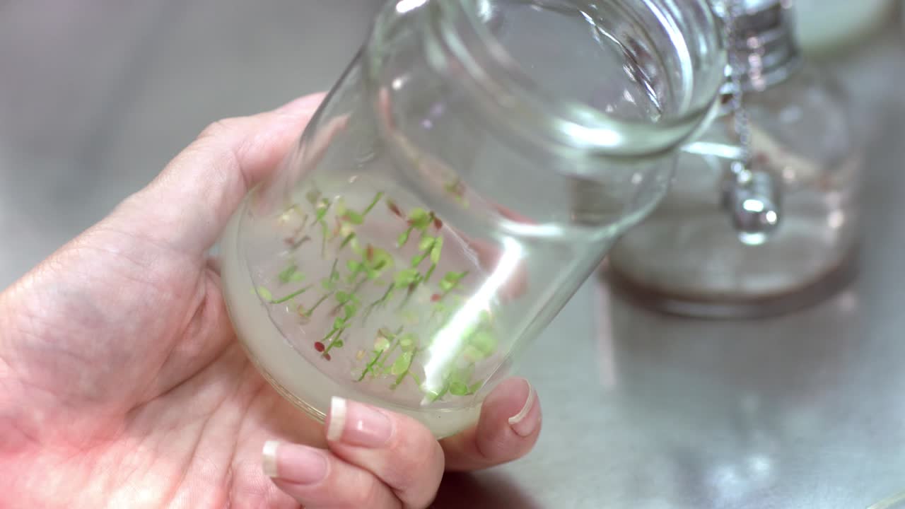 Close up of biologist's hand holding glass jar with plant sprouts