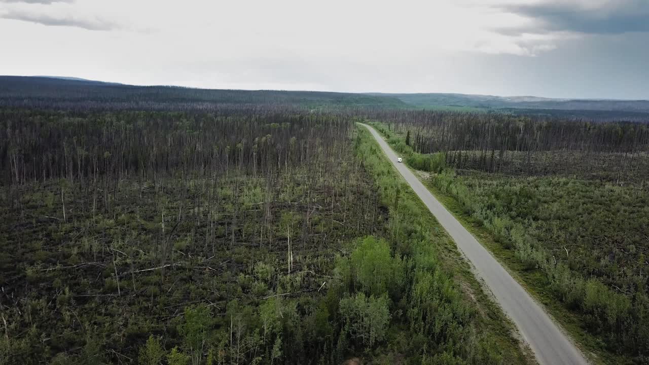 RV driving inside an old wildfire forest