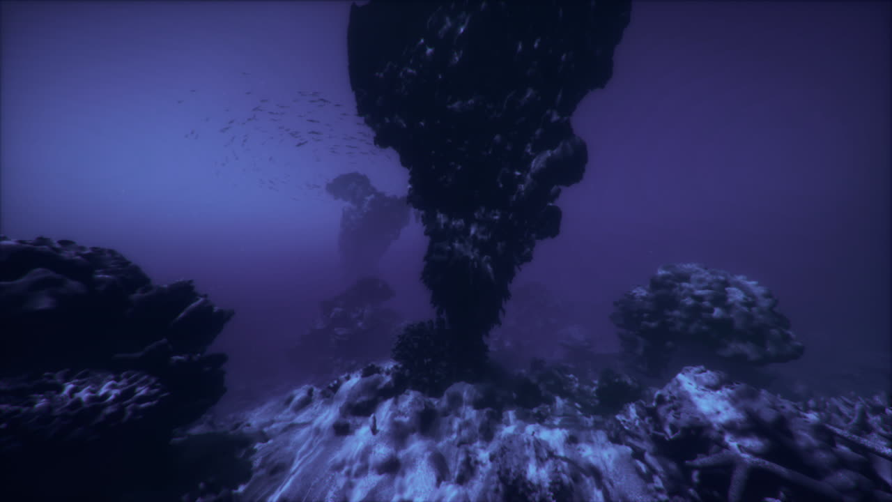 Discover a magical underwater world of sea life and rock formations