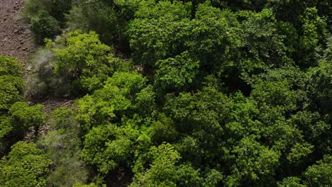 aerial view above lush tropical woodland island pebble coast landscape thailand