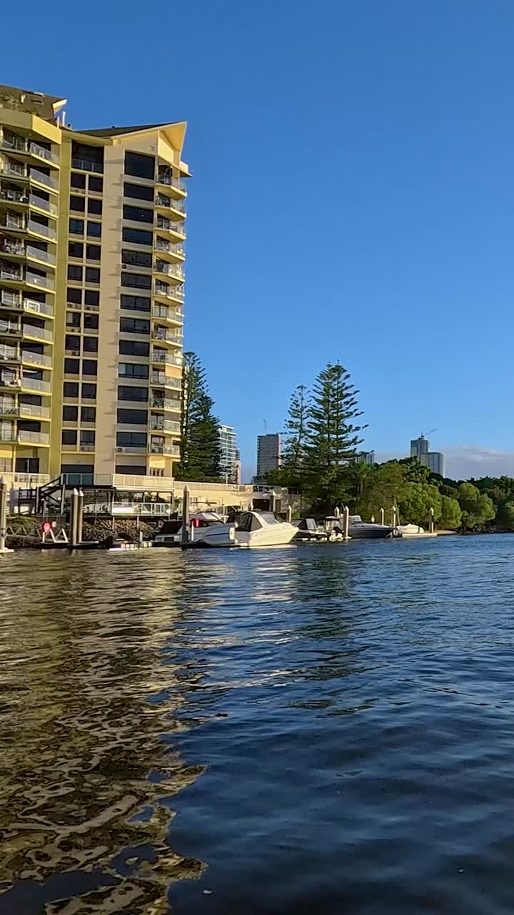 도시 스카이라인을 볼 수 있는 경치 좋은 강 항해