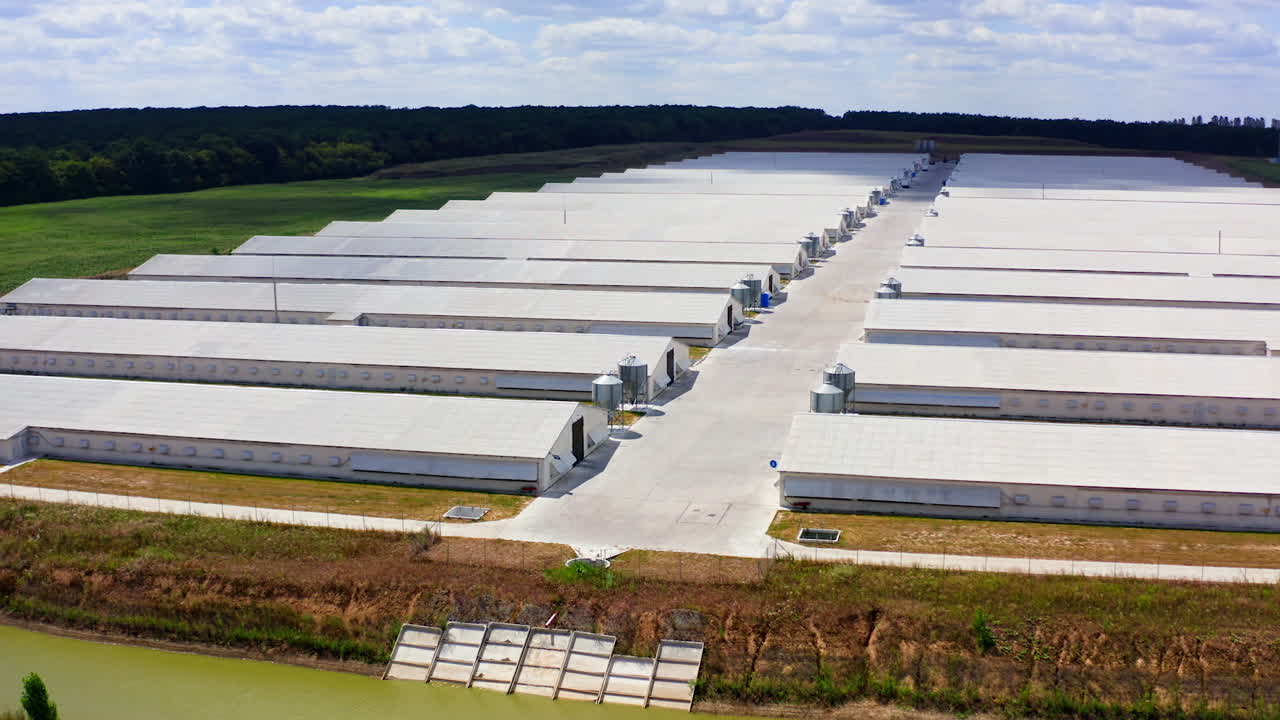Contemporary farm complex in a sunny day. White barn houses on field on beautiful nature background. Aerial view.