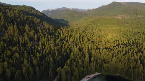 Vista-Aérea-Del-Bosque-En-El-Norte-De-Idaho