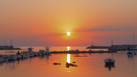 small harbour and flying seagulls at sunset