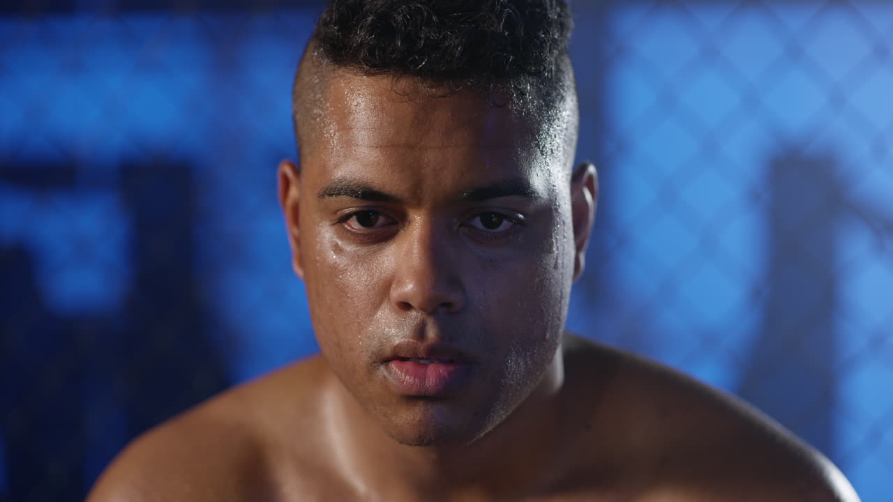 mma 포커스 전투기