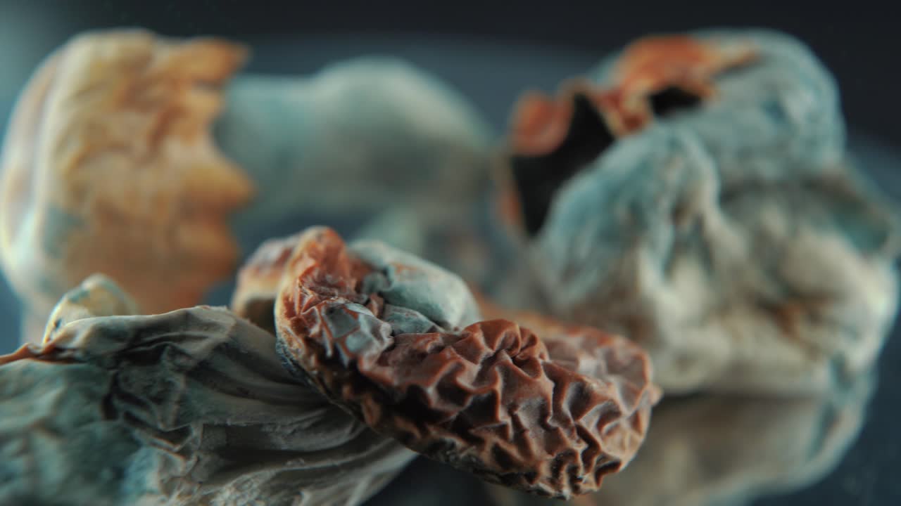 un macro cinematográfico en primer plano de un hongo seco mágico psicoactivo psilocibina alucinación con una tapa roja amarilla, en un soporte reflectante giratorio 360, iluminación de estudio profesional, video 4k