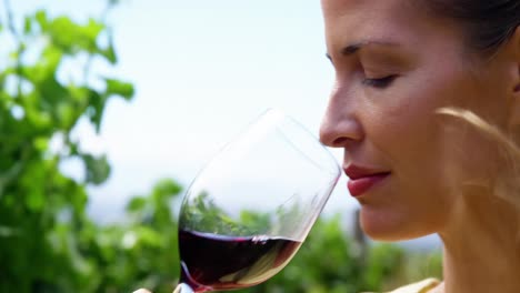 Close-up-of-woman-drinking-a-red-wine