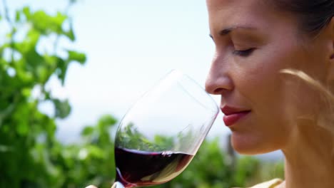 un primer plano de una mujer bebiendo un vino tinto