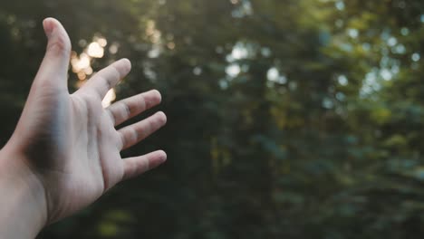 hand waving out the car window