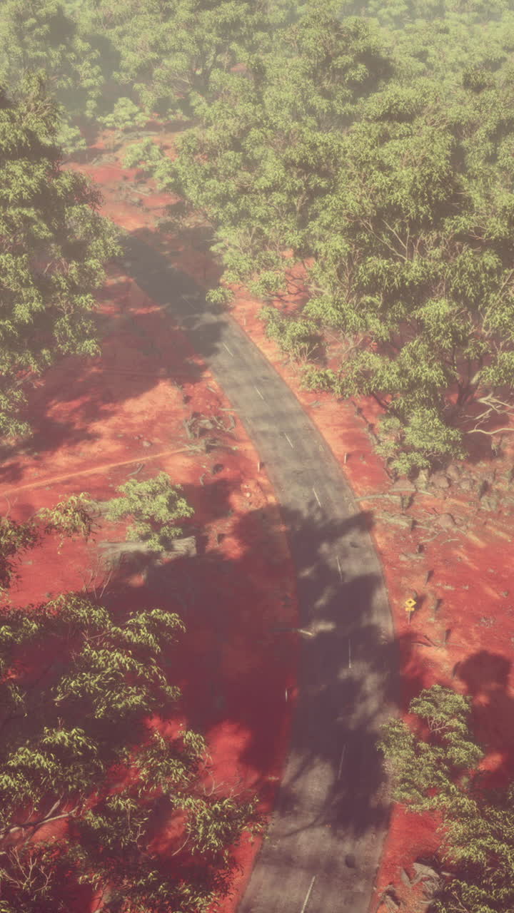 숲 을 가로질러 휘어지는 도로 의 공중 사진