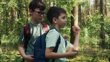 dos niños en el bosque.