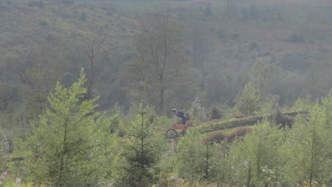 Mountainbiker-Fährt-Den-Weg-In-Den-Bäumen-Hinunter