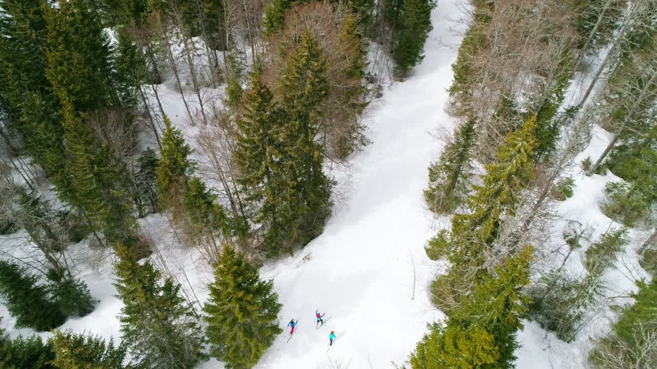 Ripresa aerea in movimento che mostra un piccolo gruppo di ragazze che sciano di fondo in una foresta innevata durante la luce del sole