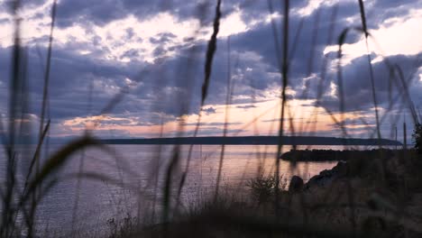 Camera-moving-through-tall-grass-looking-out-over-calm-seaside-during-twilight-hour