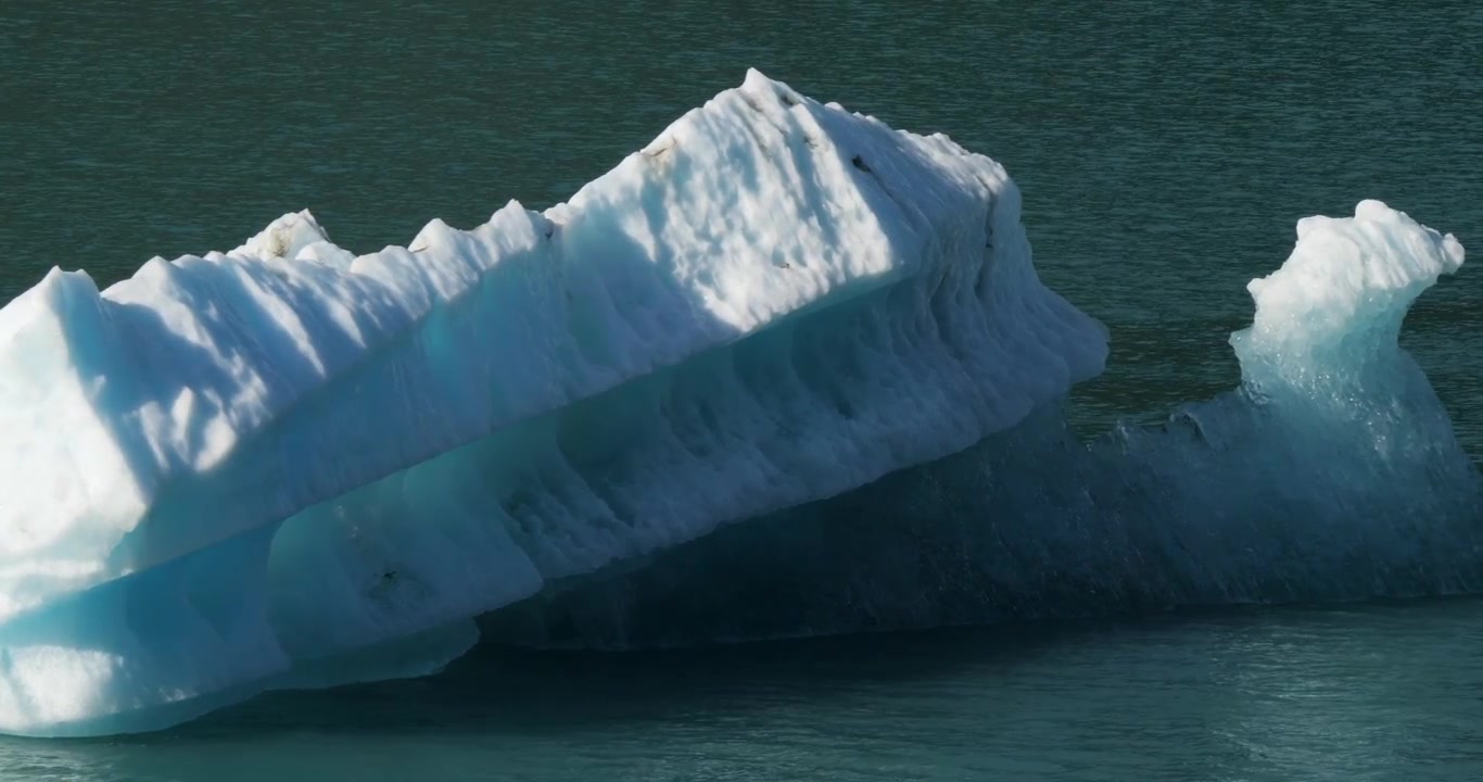 Vom Dawes-Gletscher abgebrochener Eisberg treibt im Endicott Arm Fjord, Alaska