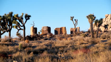 wide establishing landscape shot of rocky ruins in joshua tree california