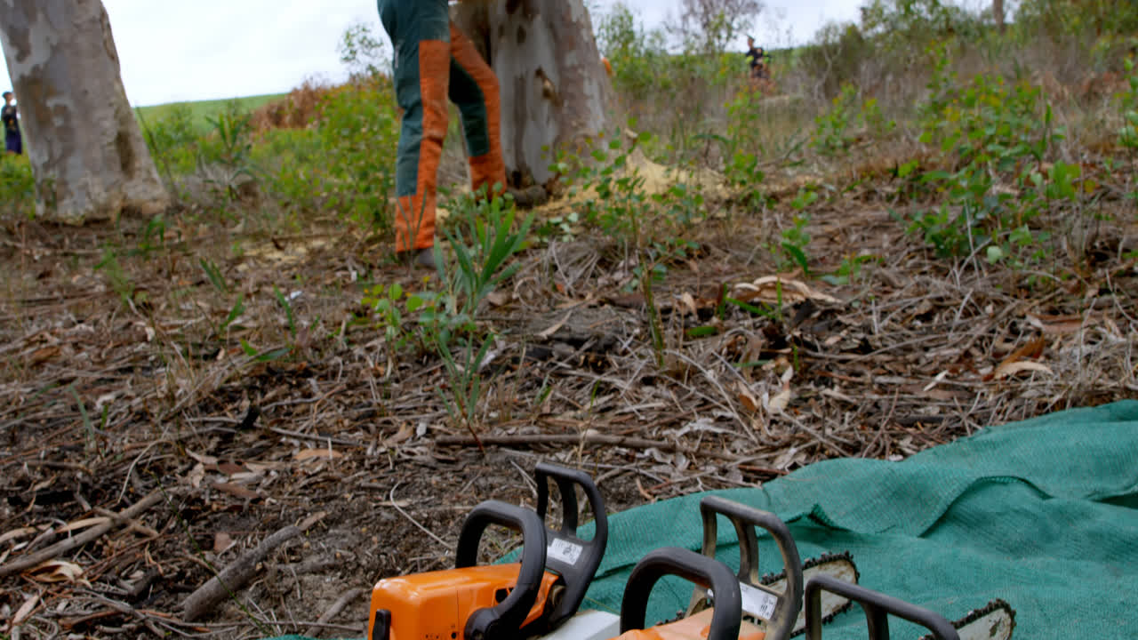 leñador con motosierra cortando el tronco del árbol 4k