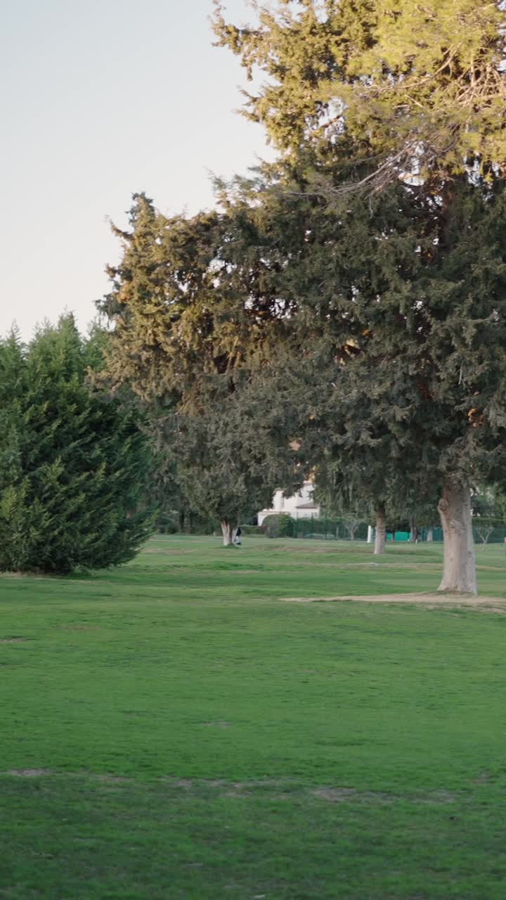 Green Landscape with Trees
