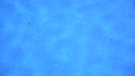 Pool-Blue-Water-Pan-Right