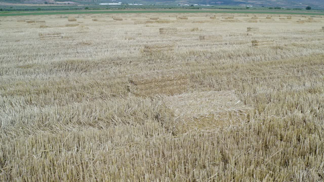 풀로 가득 찬 트레일러를 고 있는 트랙터를 타고 있는 농부.