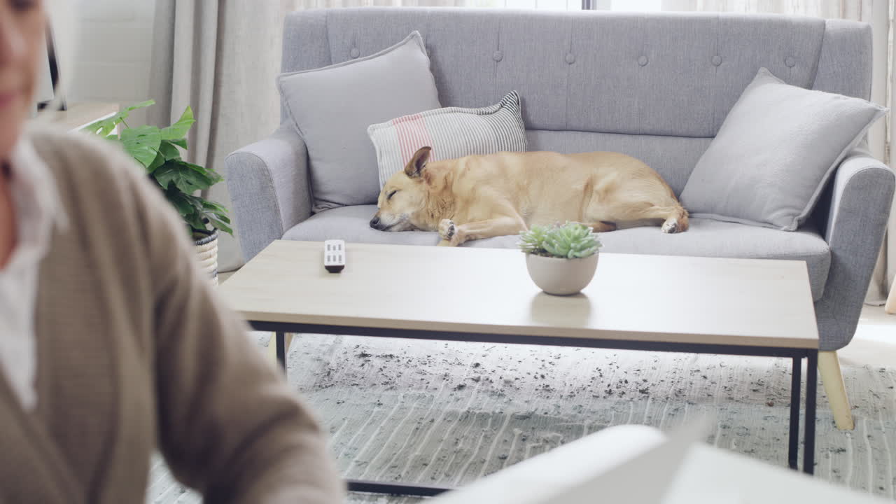 노인 여성이 노트북으로 타이핑하고 있습니다.