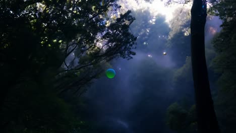 hermoso día soleado en el bosque