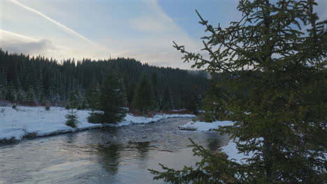 pan view of a mountain river flowing through fir forests in a winter atmosphere at sunset